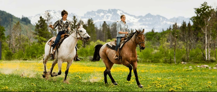 Confident plus-size woman riding Calne a horse through a field with a smile on her face.
